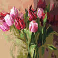 Pink Tulip Bunch - 45x45cm